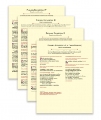 Eucharistic Prayer Cards (Spanish)